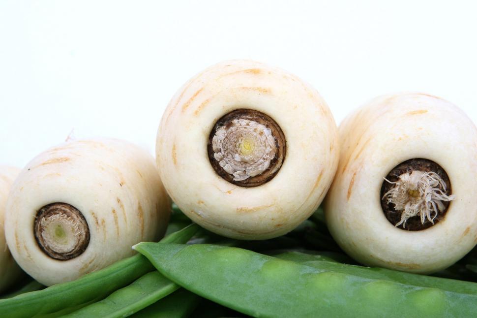 Free Image of Group of White Mushrooms on a Green Leaf 