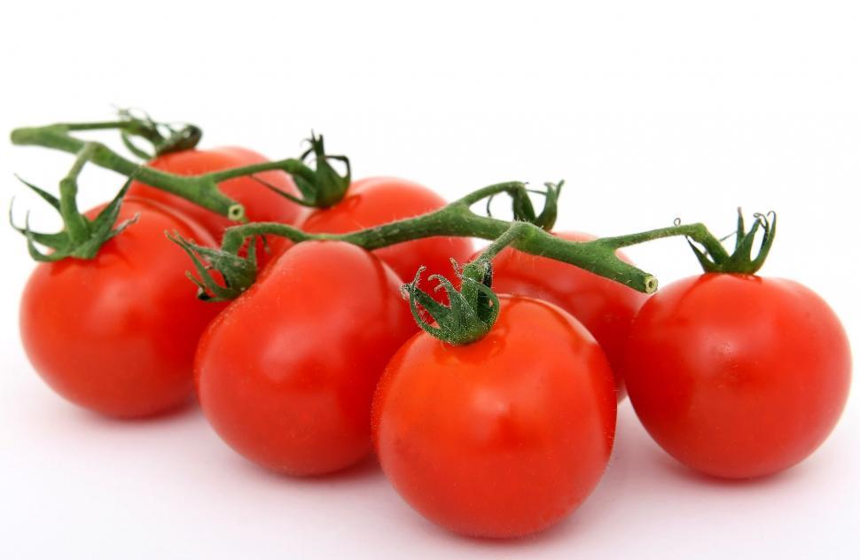 Free Image of Group of Tomatoes on White Background 