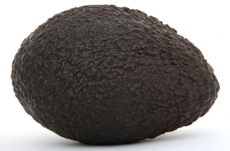 Free Image of Avocado on White Background 