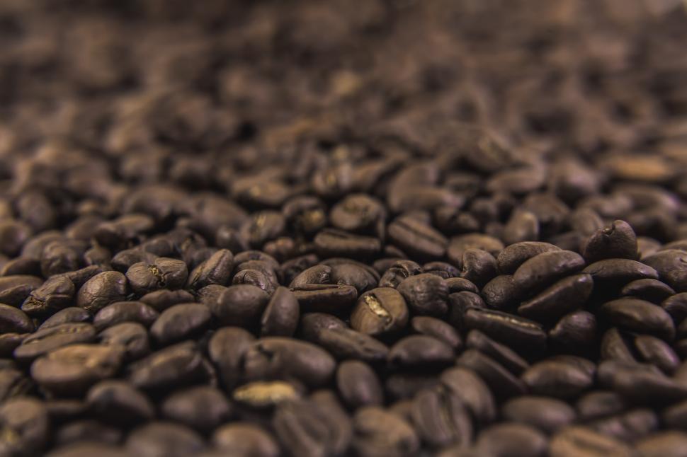 Free Image of Coffee Beans Texture 
