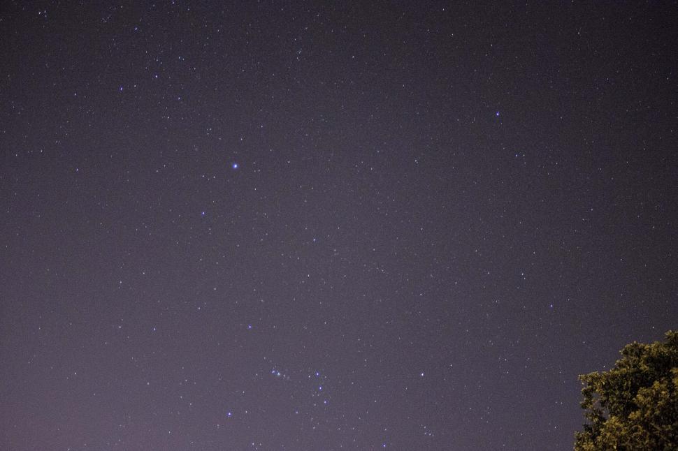 Free Image of Stars and tree background 