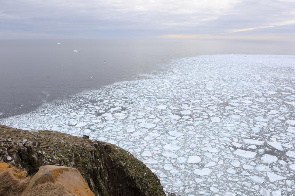 Free Image of Ocean ice 