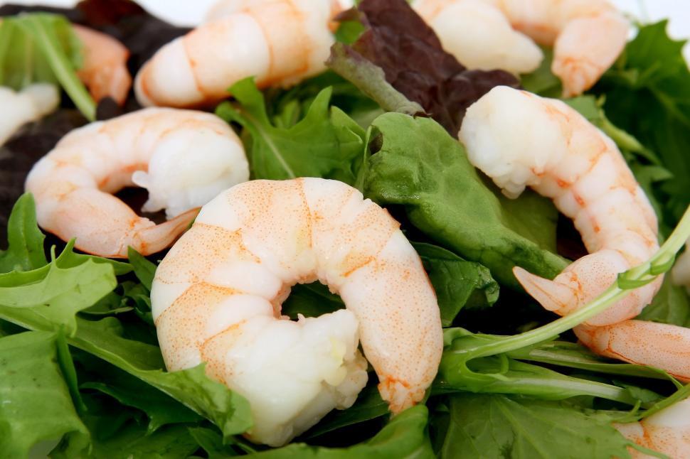 Free Image of Close Up of a Plate of Food With Shrimp 