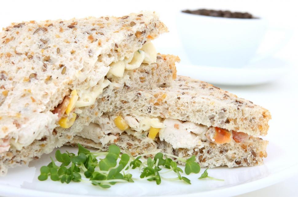 Free Image of Cut in Half Sandwich on White Plate 