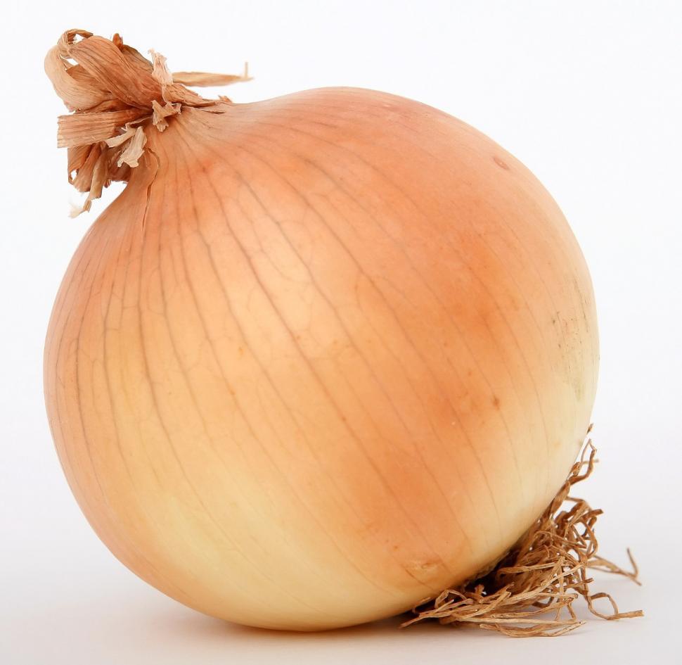 Free Image of Close Up of Onion on White Background 