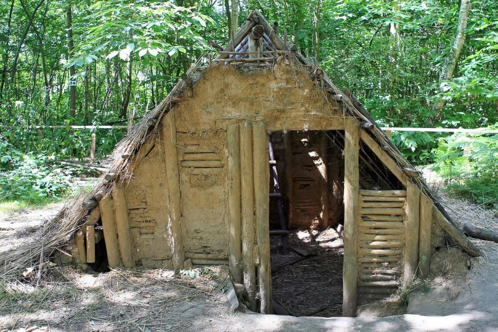 Free Image of Small Hut Amidst Forest 