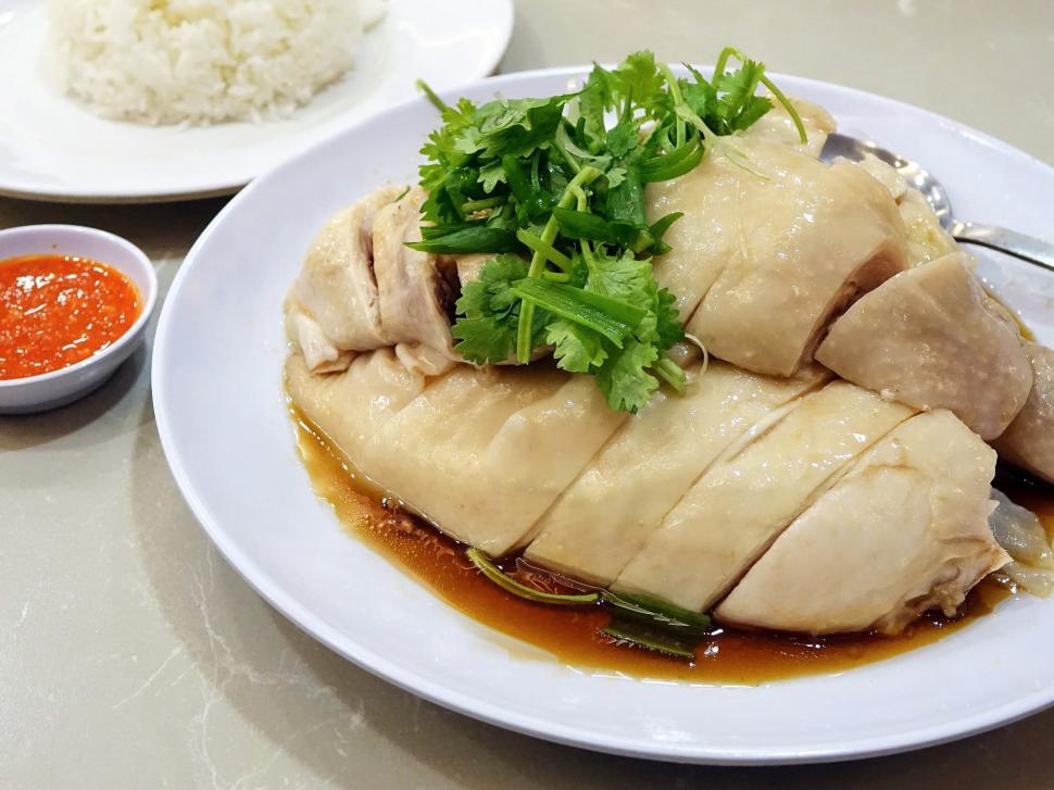 Free Image of White Plate With Meat and Sauce 