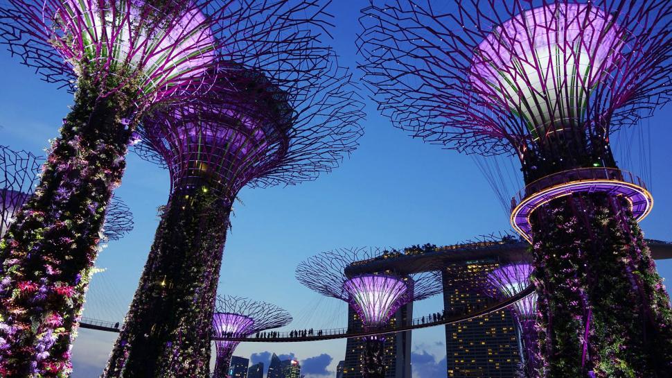 Free Image of The Gardens by the Bay Illuminated at Night 