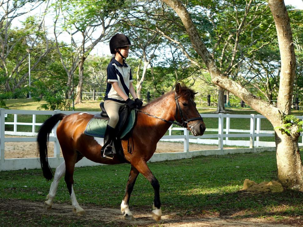 Free Image of Woman Riding on the Back of a Brown Horse 