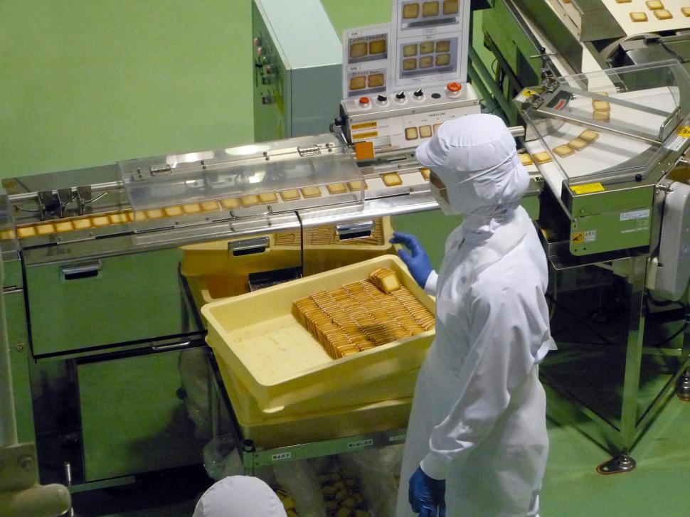 Free Image of Two People in White Suits Working in Factory 