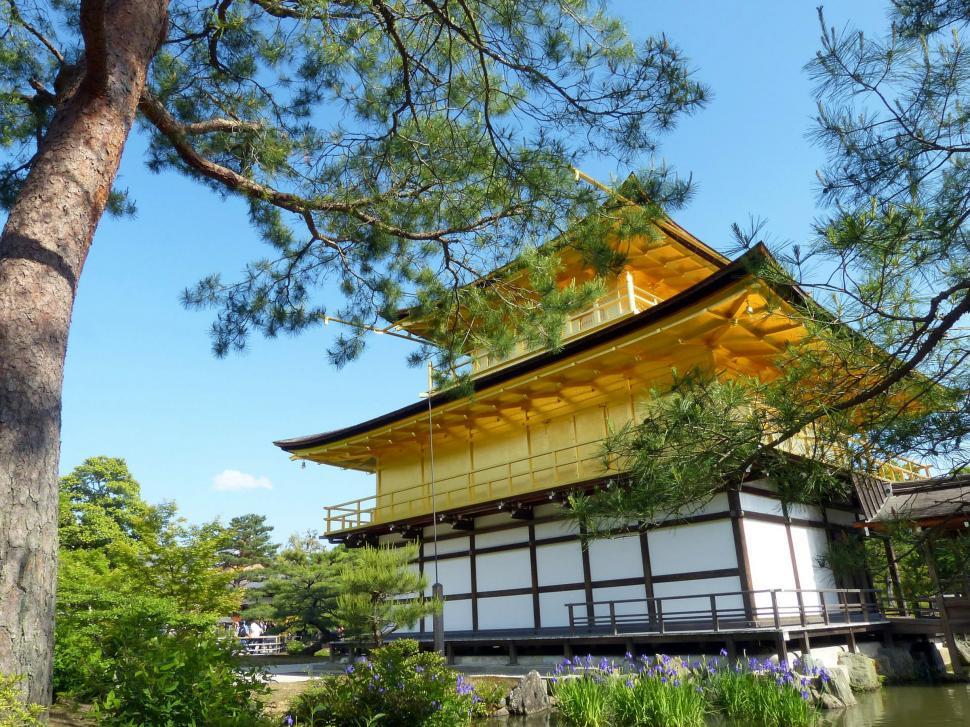 Free Image of Tall Yellow Building Next to Tree 