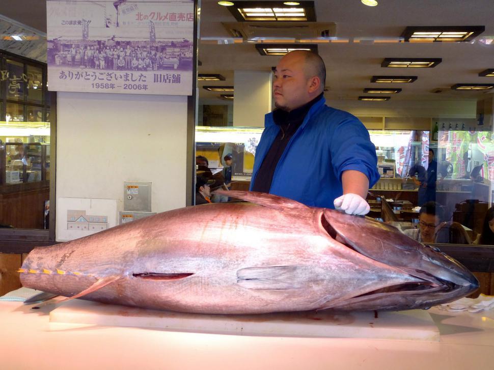 Free Image of Man Standing Next to Large Fish on Display 