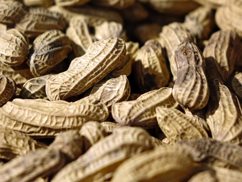 Free Image of A Pile of Peanuts on a Table 