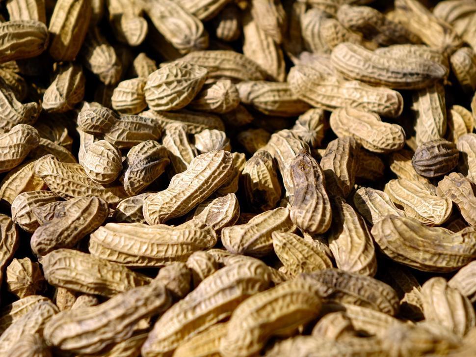 Free Image of A Pile of Peanuts on a Table 