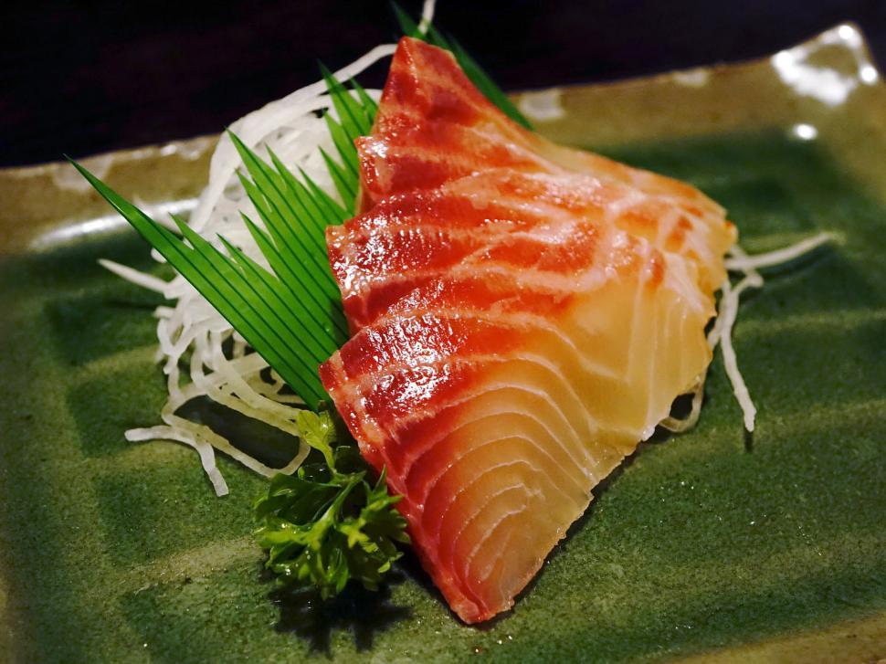Free Image of A Piece of Fish on a Green Plate 