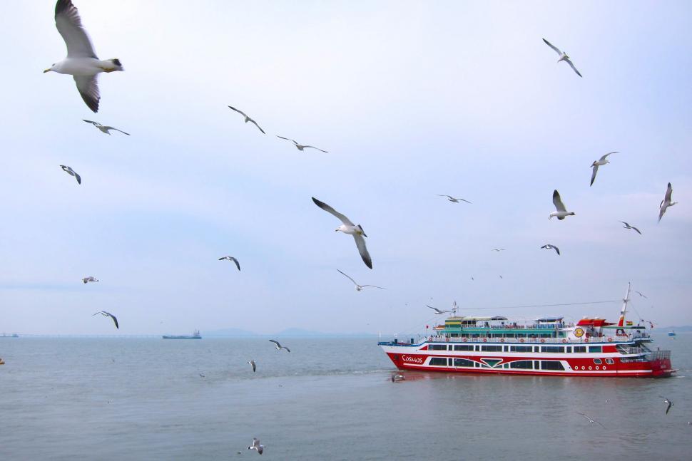 Free Image of Large Boat Sailing on Vast Waters 
