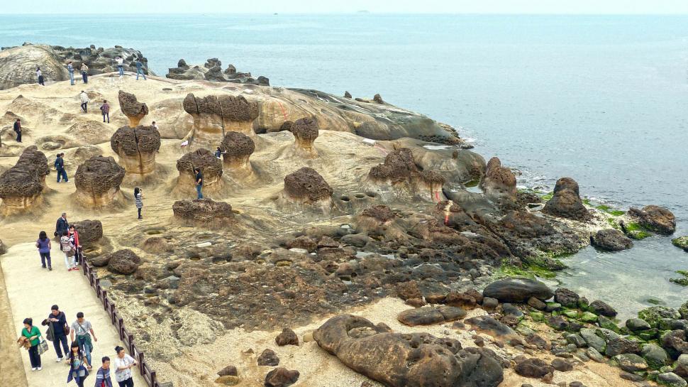 Free Image of Group of People Standing on Top of Sandy Beach 