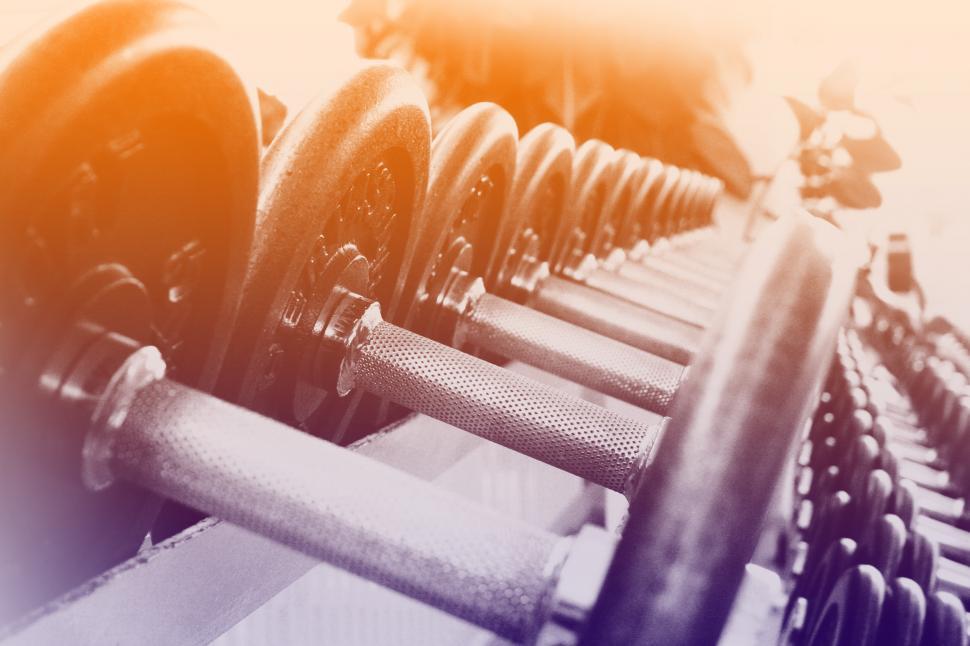 Free Image of Dumbbells in a Row - Fitness Concept 