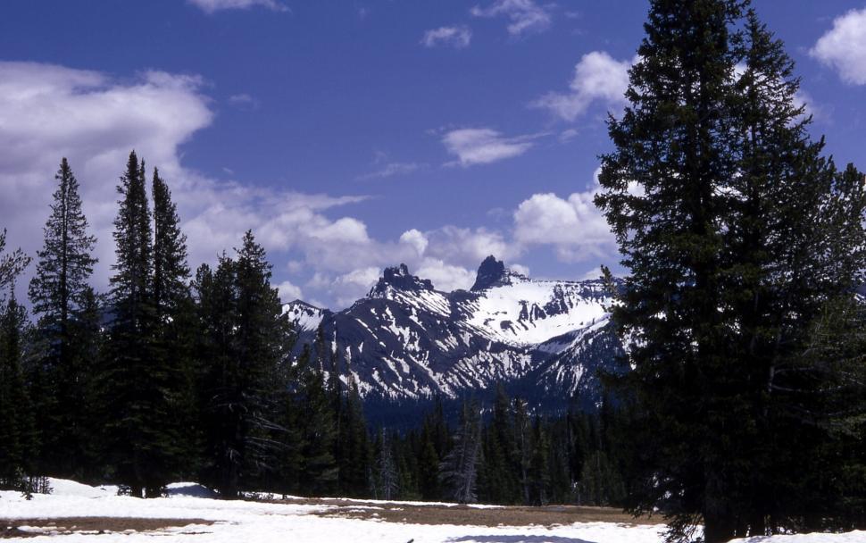 Free Image of Snow Covered Field With Trees and Mountains 