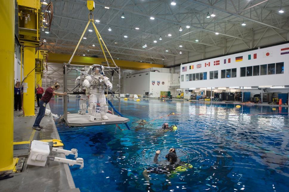 Free Image of Group of People Swimming in a Large Swimming Pool 
