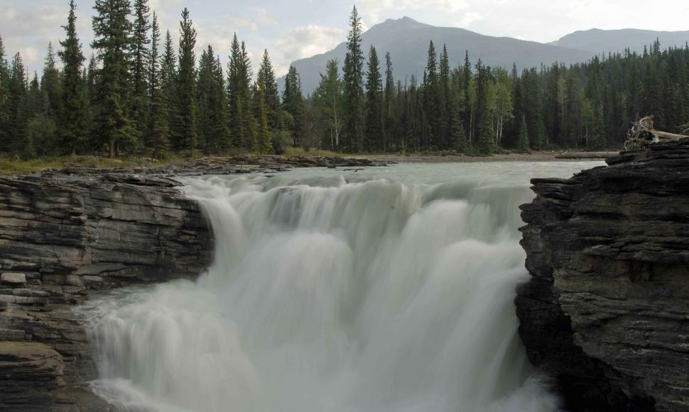 Free Image of Waterfall Cascading Through Dense Forest 