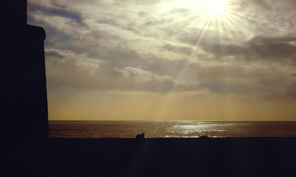 Free Image of Glowing Sun Illuminates Ocean 