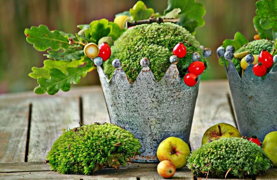Free Image of Buckets Filled With Plants and Fruit 