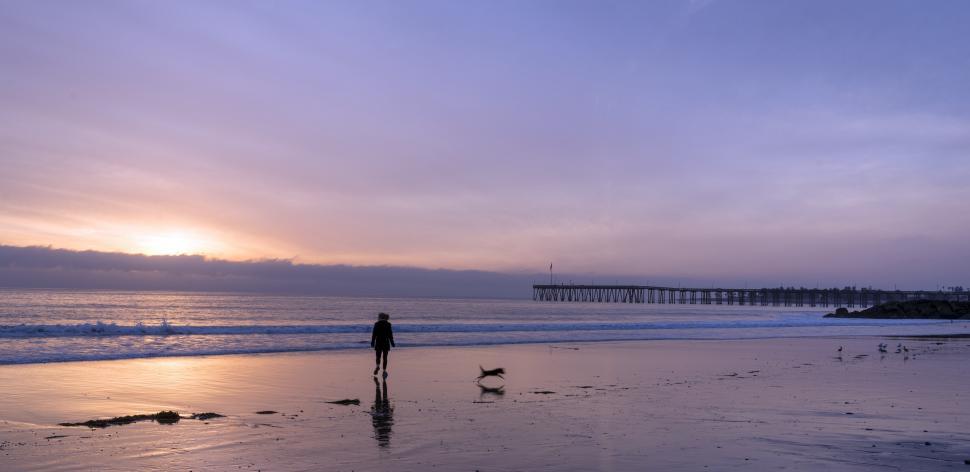 Free Image of Person Standing on Beach With Dog 