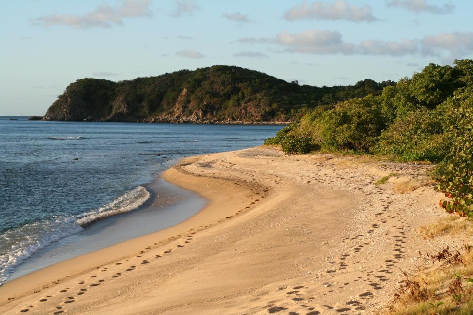 Free Image of Sandy Beach With Footprints 