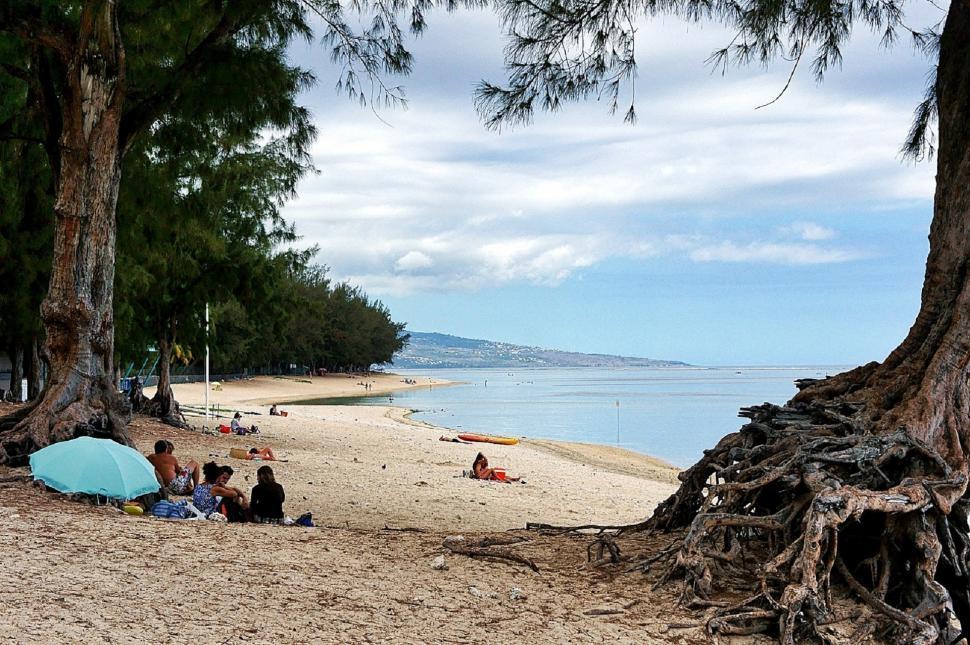 Free Image of Group of People Sitting on Top of Sandy Beach 