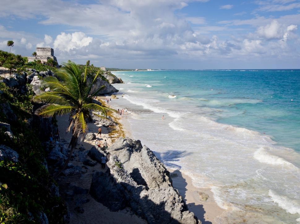 Free Image of Sandy Beach With Palm Trees and Blue Water 