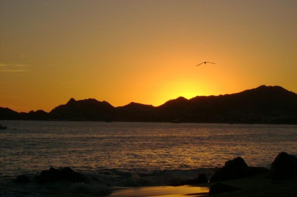 Free Image of Bird Flying Over Body of Water at Sunset 