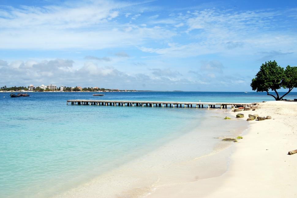Free Image of Sandy Beach With Wooden Dock 