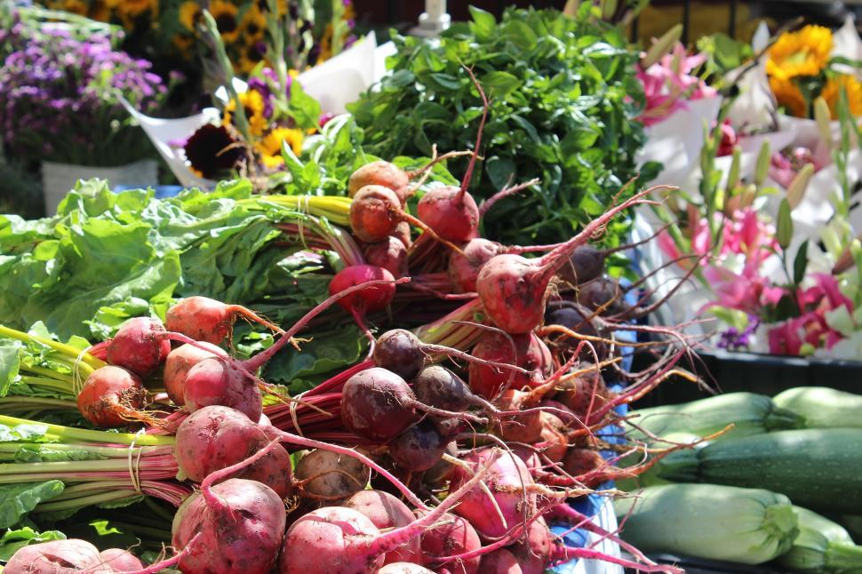 Free Image of Assorted Vegetables on a Table 