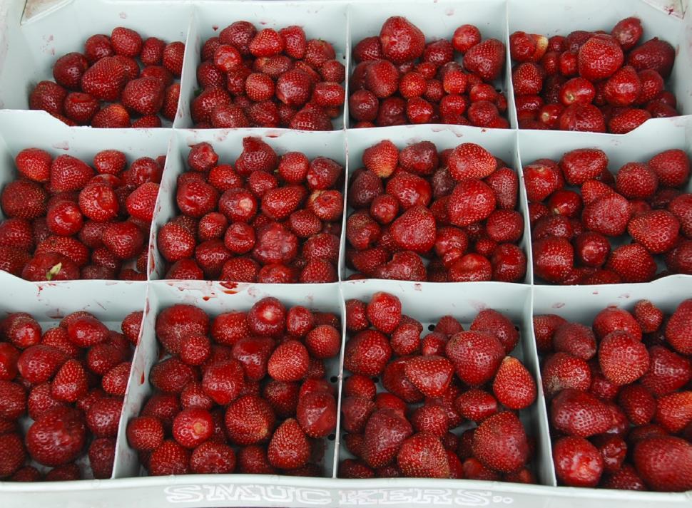Free Image of Multiple Boxes Filled With Fresh Strawberries 