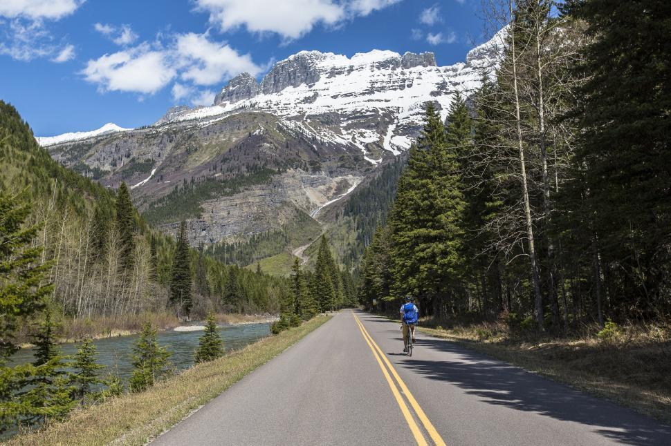 Free Image of Man Riding Bike Along Forest Road 