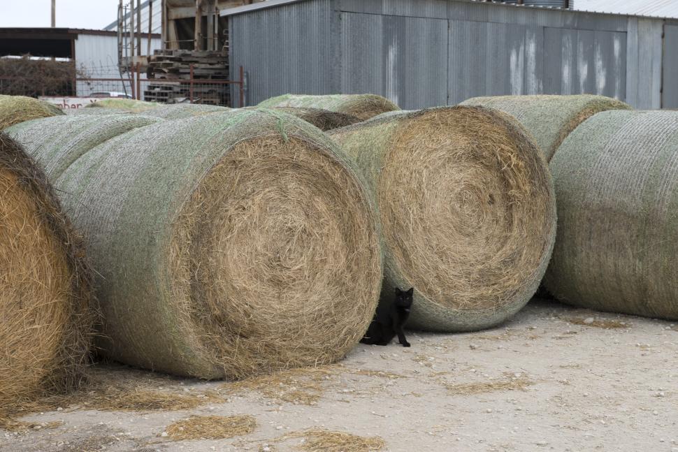 Free Image of Hay Pile Next to Building 