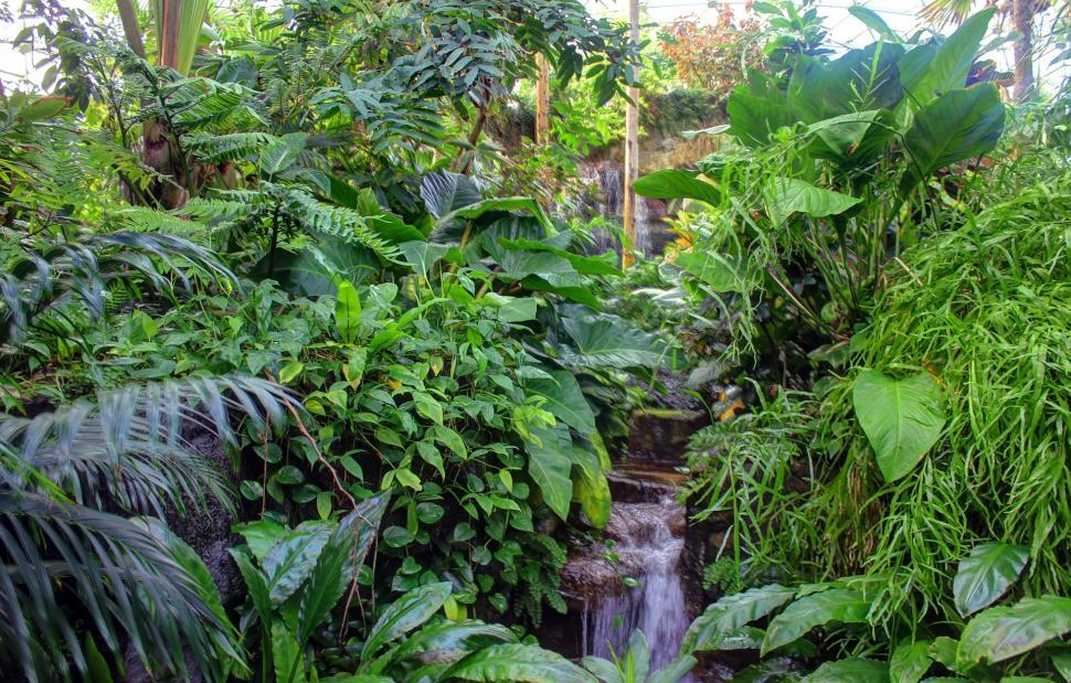 Free Image of Majestic Waterfall Amidst Lush Greenery 
