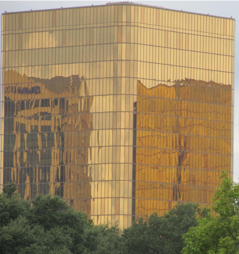 Free Image of Tall Building Towering Over Trees 