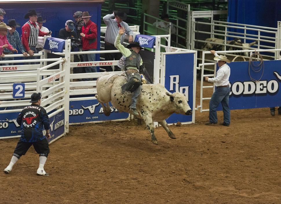Free Image of Man Riding on the Back of a White Bull 