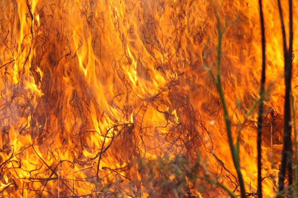 Free Image of Large Fire Burning in Field 