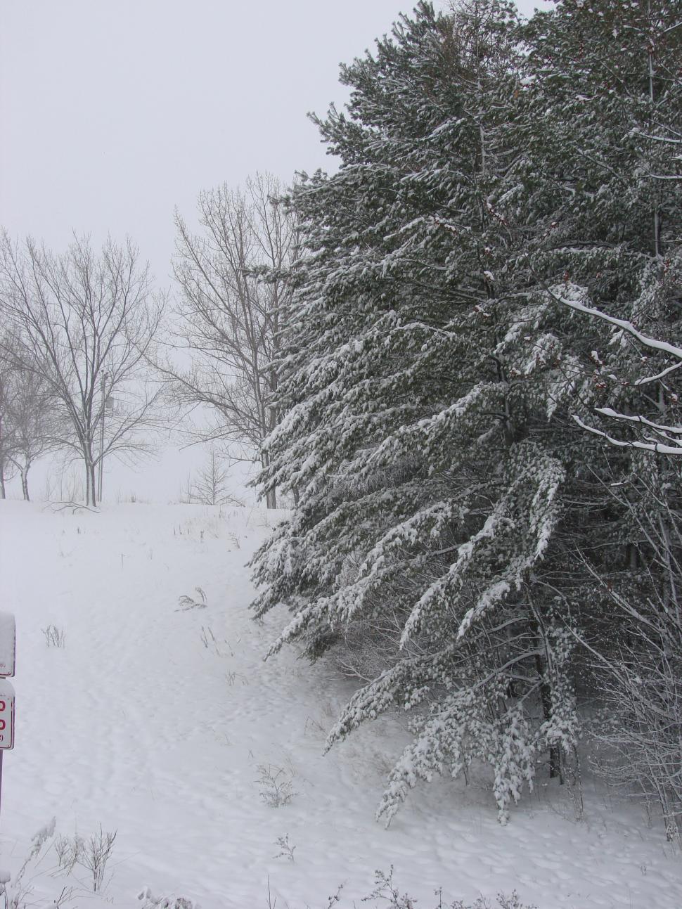 Free Image of Winter 