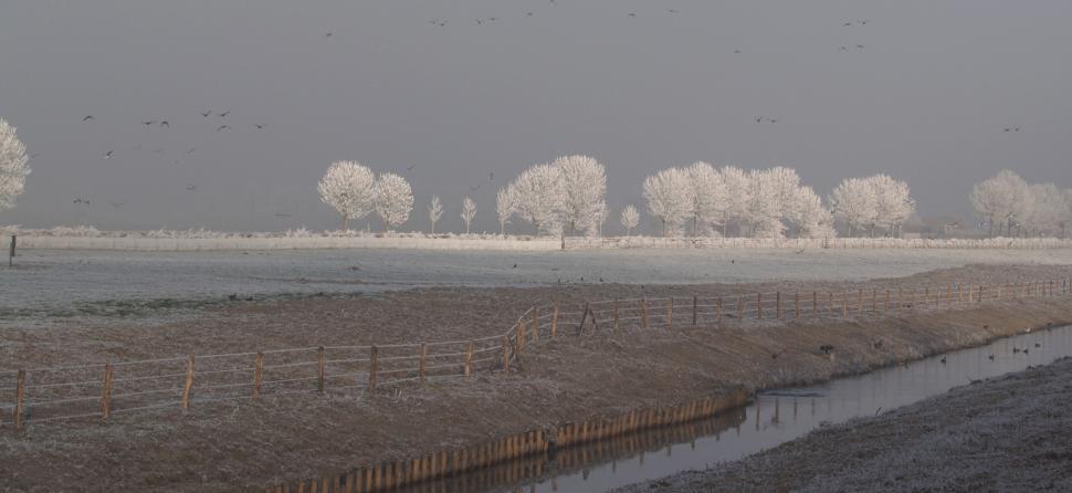 Free Image of Snow-Covered Field in Black and White 