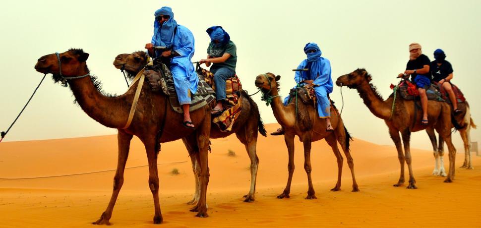Free Image of Group of People Riding on the Backs of Camels 