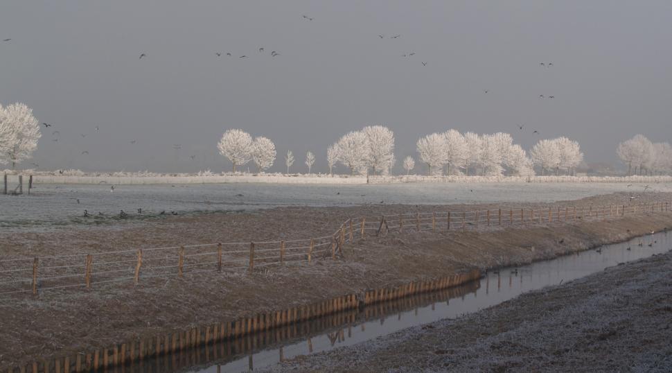 Free Image of Field With Fence and Trees in Distance 