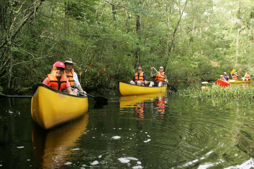 Free Image of Group of People Canoeing Down River 