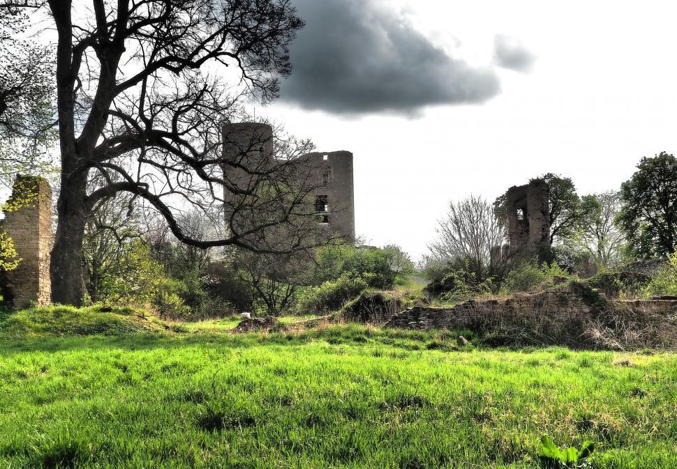 Free Image of Grassy Field With Building in Background 