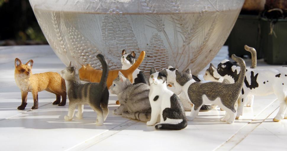 Free Image of Group of Cats Sitting on the Ground 