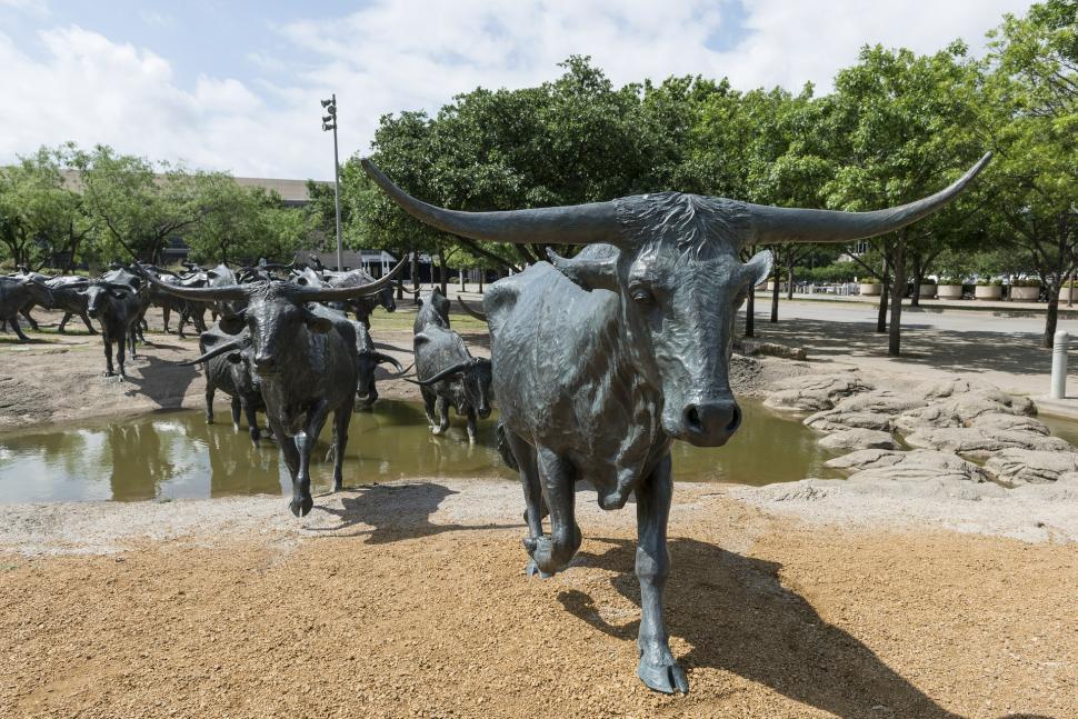 Free Image of Herd of Cattle Walking Across a Dirt Field 