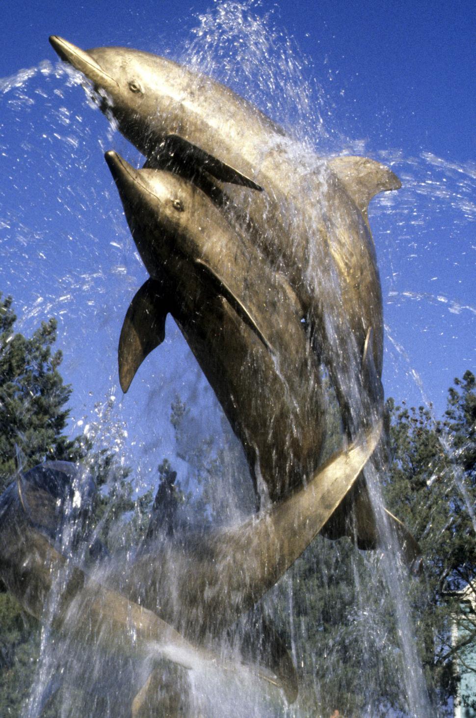 Free Image of dolphin fountian 